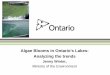 Algae Blooms in Ontario's Lakes: Analyzing the · PDF file8 Blue-green algae (cyanobacteria) • Toxins which are formed at all stages of the organisms’ growth are released to the