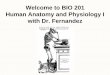 Welcome to BIO 201 Human Anatomy and Physiology I with …web.gccaz.edu/~phipd16661/Chap1_Intro.pdf · Introduction to Anatomy & Physiology ... location – appendix in center or