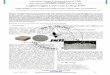 Lightweight Concrete Using EPS - ijsr. · PDF fileInternational Journal of Science and Research (IJSR) ISSN (Online): 2319-7064 Index Copernicus Value (2013): 6.14 | Impact Factor