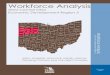 Workforce Analysis: West Central Ohiolmi.state.oh.us/wa/2007edr/edr3wa.pdf · Workforce Analysis West Central Ohio ... and Charting a Course for the Future. ... The next section contains