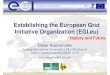 Establishing the European Grid Initiative Organization ...kranzlm/vortraege/2009-09-16-Copenhagen-EGI... · Establishing the European Grid Initiative Organization ... (11 JRU –
