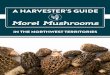 Morel Mushrooms - Northwest · PDF file1 INTRODUCTION Forest fires are naturally-occurring events in the Northwest Territories (NWT) that produce a valuable renewable resource: morel