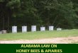 ALABAMA LAW ON HONEY BEES & APIARIES · PDF fileSECTION 2-14-3 Registration of colonies, bee yards, and apiaries • Every beekeeper, owner or others in possession of any honey bees
