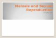 Meiosis and Sexual Reproduction - staff.camas.wednet.edustaff.camas.wednet.edu/blogs/cmarshall08/files/2011/10/10-Meiosis2.pdf · Meiosis and Sexual Reproduction Chapter 10 . Number