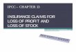 INSURANCE CLAIMS FOR LOSS OF PROFIT AND LOSS  · PDF fileinsurance claims for loss of profit and loss of stock ipcc – chapter 13