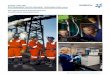 SASOL ONLINE SUSTAINABLE DEVELOPMENT INFORMATION · PDF fileSUSTAINABLE DEVELOPMENT INFORMATION Our governance framework for ... of the Group strategy and overall management of Sasol