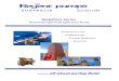 Megaflow Series - Regent Asia Pacific AP Brochure.pdf · Megaflow Series - HORIZONTAL SPILT CASE PUMP ... of tolerances DIN 7168, MEDIUM Cast iron parts DIN 1686 GTB 18 Pump …