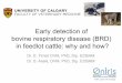 Early detection of bovine respiratory disease (BRD) · PDF fileEarly detection of bovine respiratory disease (BRD) in feedlot cattle: why and how? Dr. E. Timsit DVM, PhD, Dip. ECBHM