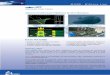 Submarine Team Trainer - · PDF fileSubmarine Team Trainer MAIN FEATURES Introduction Single and Multi-Platform simulation Real-time data exchange ... (sonar, helmsman, tactical etc)