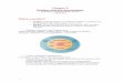 Chapter 9 Product and Services strategy - · PDF fileChapter 9 Product and Services strategy ... Product and Service Decisions: ... Chapter 10 New product development and product life-cycle