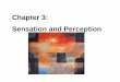 Chapter 3: Sensation and Perception - Yolamrminervinihb.yolasite.com/resources/HB Ch. 3 PP Part 1 for Quiz...Chapter 3: Sensation and Perception . Perception Expectancy • Do expectations