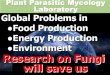 Plant Parasitic Mycology Laboratory Global Problems …seiken/documents/lab/ppm.pdfwill save us Global Problems in Food Production Energy Production Environment Plant Parasitic Mycology