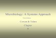 Cowan & Talaro - Bellarmine University & Talaro. 2 An Introduction ... adsorption – binding of virus to specific 