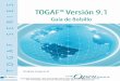 TOGAF® Versión 9.1 – Guía de Bolsillo · PDF fileTOGAF® Versión 9.1 - Guía de Bolsillo ... en cualquier forma o por cualquier medio, ... (ADM por sus siglas en inglés) 25