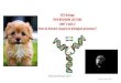 VCE Biology TSFX REVISION LECTURE UNIT 4 AOS 2 Parsons 2017 VCE Biology TSFX REVISION LECTURE UNIT 4 AOS 2 How do humans impact on biological processes? Veronica Parsons 2017 ... General