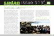sudan issue brief - HSBA  · PDF fileS mall Arms Survey Number 8 September 2007 C ... Sudan Issue Brief Number 8 September 2007 ... Brideswealth and dowry: In some border areas,
