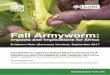 Fall Armyworm - Invasive Species Armyworm... · • Fall Armyworm (FAW) ... commercial aircraft, either in cargo containers or airplane holds, ... Algeria, Tunisia and Libya, 