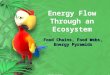 Energy Flow Through an Ecosystem - Home - Biology · PPT file · Web view · 2016-06-27Energy Flow Through an Ecosystem Food Chains, Food Webs, Energy ... Microsoft Graph 2000 Chart