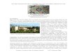 R. Tennant, Islamic Tilings of Alhambra b - home.earthlink.nethome.earthlink.net/~mayathelma/sitebuildercontent/sitebuilderfiles/... · ISLAMIC TILINGS OF THE ALHAMBRA PALACE: TEACHING