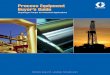 Process Equipment Buyer’s Guide - efqinc.comefqinc.com/pdf/GracoProcessEquipmentBuyersGuide.pdf · Process Equipment Buyer’s Guide. ... all Husky air-operated Double-Diaphragm