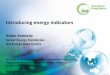 Introducing energy indicators - Sustainable development · PDF fileIntroducing energy indicators ... Established in 1974 after 1st Oil Crisis 29 Members Countries ... 5 Questionnaires