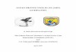 AVIAN PROTECTION PLAN (APP) GUIDELINES - · PDF fileAVIAN PROTECTION PLAN (APP) GUIDELINES ... which contain more detail on construction design standards and line ... An Avian Protection