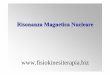 Risonanza Magnetica Nuclearefisiokinesiterapia-news.it/NewDownload/Risonanza Magnetica.pdf · 1973 Backprojection MRI - Lauterbur 1975 Fourier Imaging - Ernst ... Joseph P. Hornak,