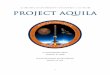 PROJECT AQUILA - Auburn  · PDF fileSection 1.2: Launch Vehicle Summary ... Project Aquila Test Launch 4: ... Vortex Shedding Testing visualization