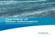 The Value of Water Information - · PDF fileWater Supply Water Demand ... sanitation and hygiene for all ... WMO 2008. Table 2 WMO’s recommended minimum densities of hydrological