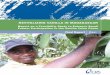 REVITALIZING VANILLA IN MADAGASCAR - Catholic · PDF fileCover photo: Jefferson Shriver ... Revitalizing Vanilla in Madagascar Report on a Feasibility Study to ... • Supply chain