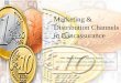 Marketing & Distribution Channels in  · PDF fileMarketing & Distribution Channels in Bancassurance ... • LIC: Corporation Bank ... J&K Bank • Birla Sunlife Ins. Co.: Citibank