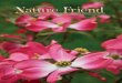 Scavenger Hunt - Nature Friend Magazine · PDF file · 2016-12-10Scavenger Hunt I See It! from April Front Cover: You Can Draw a Dogwood. ... ___ Shrike J. Virginia nightingale 