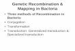 Genetic Recombination & Mapping in Bacteriaguralnl/311bactrecom.pdfGenetic Recombination & Mapping in Bacteria • Three methods of Recombination in Bacteria: • Conjugation • Transformation