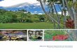 Annual Report 2016 - Miami Beach Botanical Garden · PDF fileIn October 2016, the Miami Beach Botanical Garden celebrated the ﬁfth anniversary of its “million-dollar ... size our