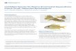 Candidate Species for Marine Ornamental Aquaculture ...edis.ifas.ufl.edu/pdffiles/FA/FA18600.pdfCandidate Species for Marine Ornamental Aquaculture: French Grunt, Haemulon flavolineatum