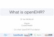 What is openEHR? - British Computer · PDF fileWhat is openEHR? An open specification for a health information model capable of supporting an open platform ... Web-based ‘democratised’