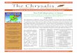 Fall 2011 The Chrysalis -  · PDF fileThe Chrysalis   ... Fertilization occurs when pollinia are transferred by the insect into the stigmatic slits of another milkweed flower