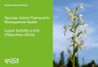 Species Action Framework: Management Guide · PDF fileIn lesser butterfly-orchid the pollinia lie close together ... Lesser butterfly-orchid occurs in a broad range of heathland and