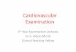 Cardiovascular Examination - WHEA Examination ... •Look up mnemonics •What positions? ... Effect on pulse? Slow rising Collapsing None None