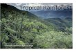 terms of area covered in the world, the temperate rainforest biome is one of the smallest. Temperate rainforests can be found along the Pacific coast of North Am e rica between latitudes