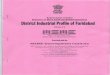 Government oflndia Ministrv of Micro,Smal1and ...dcmsme.gov.in/dips/2016-17/DIP Faridabad.pdf2016-17 Government oflndia Ministrv of Micro,Smal1and MediumEnterprises District Industrial