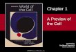 A Preview of the Cell - Warner Pacific Collegeclasspages.warnerpacific.edu/BDupriest/BIO 330/Ch 1 Preview of Cell... · A Preview of the Cell ... The Cell Theory: A Brief History