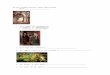 AP Art History Review: Early Renaissance - West  · Web viewAP Art History Review: Early Renaissance Last modified by Pamela Company Montgomery County Public Schools