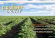 Summer • No. 72, 2014 - Manitoba Pulse & Soybean Growers · PDF fileSummer • No. 72, 2014 ... Ernie Sirski – Dauphin Albert Turski – La Salle Rick Vaags – Dugald Advisory