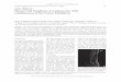 Case Report: Plasma Cell Neoplasm in Conjunction with ... · PDF filePlasma Cell Neoplasm in Conjunction with Glioblastoma of the Conus Medullaris ... cauda equina. Initial H&E-stained