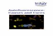 Autofluorescence: Causes and Cures - UHNR · PDF fileAutofluorescence: Causes and Cures . 1 Table of contents 1 Introduction