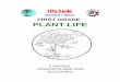 FIRST GRADE PLANT LIFE - · PDF fileFIRST GRADE PLANT LIFE 2 WEEKS LESSON PLANS AND ... worksheet BACKGROUND: Plants are an important food source for animals. ... for the plant and