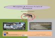 Mosquito & Vector Control Program - San Bernardino  · PDF fileMosquito & Vector Control Program . 2011 Annual Report .   San Bernardino (909) 387-4600 Hesperia (760) 995-8154