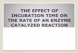THE EFFECT OF INCUBATION TIME ON THE RATE OF AN ENZYME …fac.ksu.edu.sa/sites/default/files/4.the_effect_of... ·  · 2014-02-04by factors which include enzyme concentration, substrate