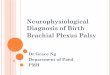 Birth Brachial Plexus Palsy - HKSSH of Birth Brachial Plexus Palsy Dr Grace Ng ... pathophysiology: ... FT NSD BW 3.75kg | Shoulder dystocia